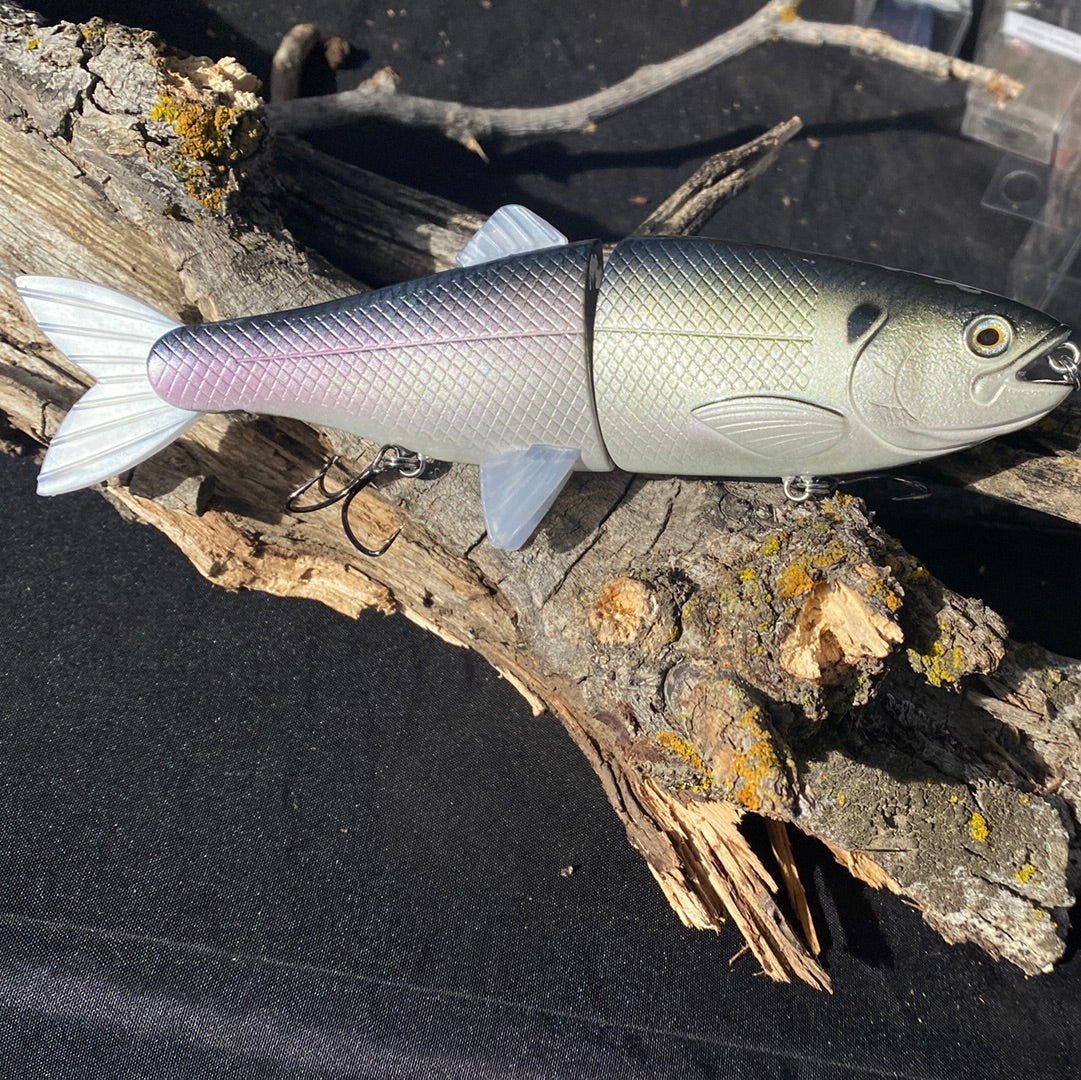 203 shad king