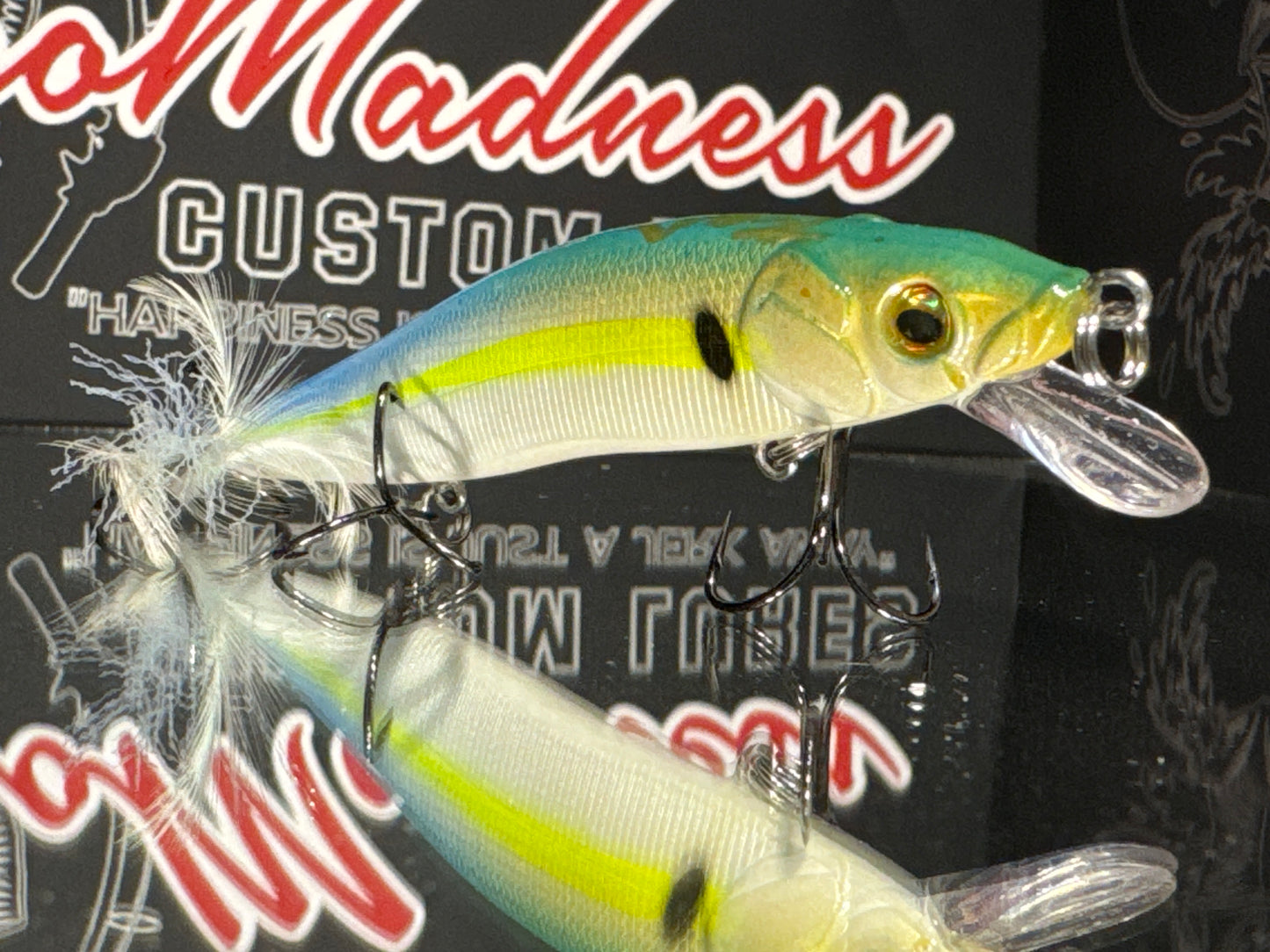 Skyline Shad