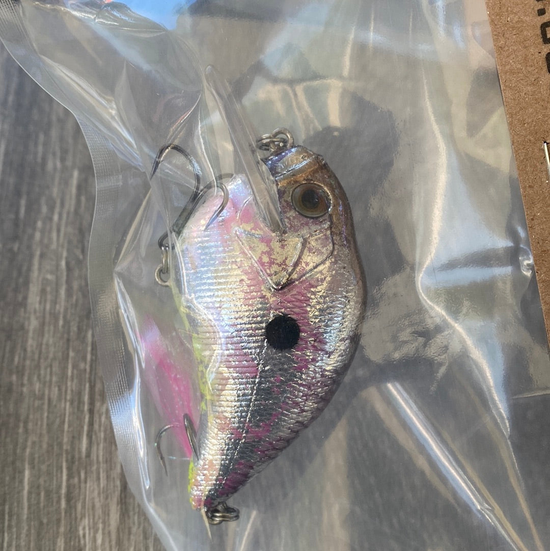 Big Sis Shad (squad bill)