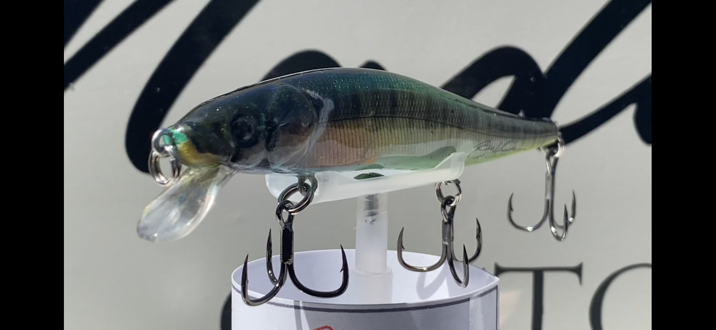 110Springgill