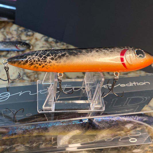 Black Marbling Orange Belly