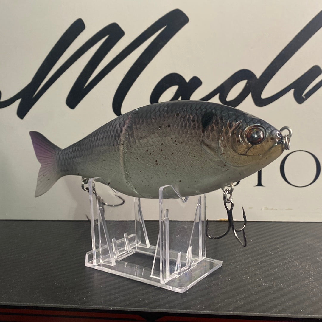 Silverback shad