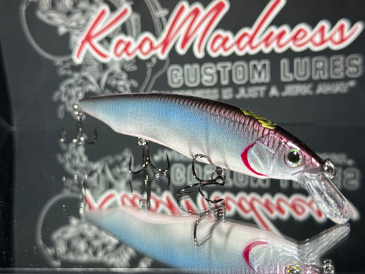 Anchovies ver.1