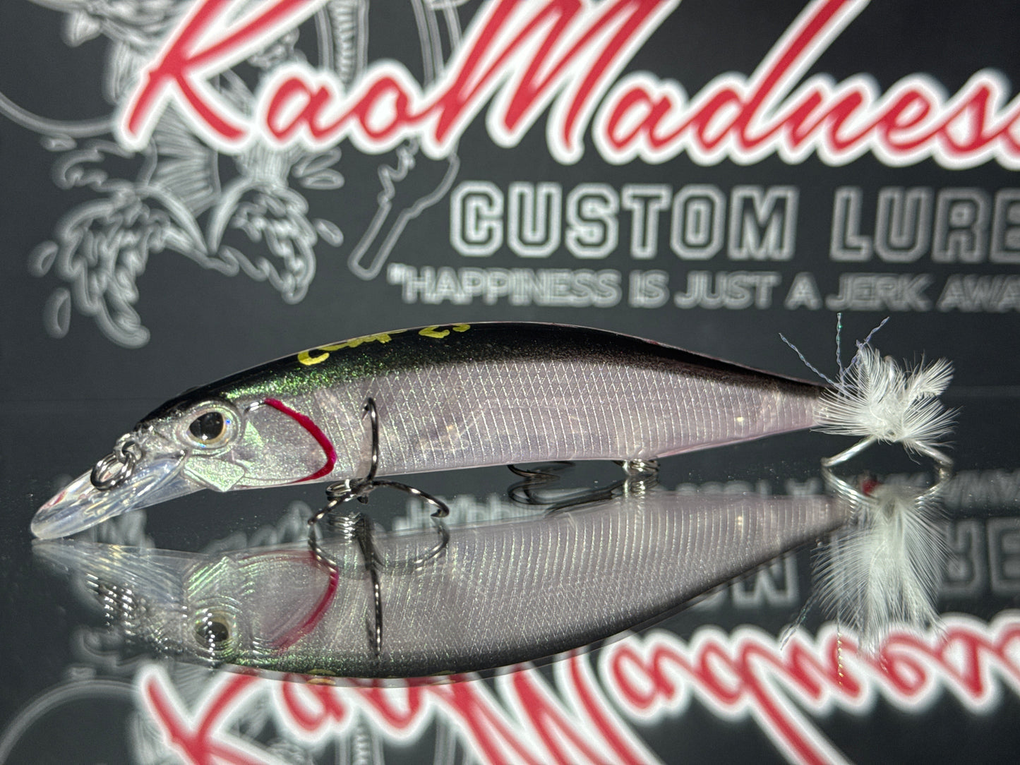 Anchovies Ghost 120
