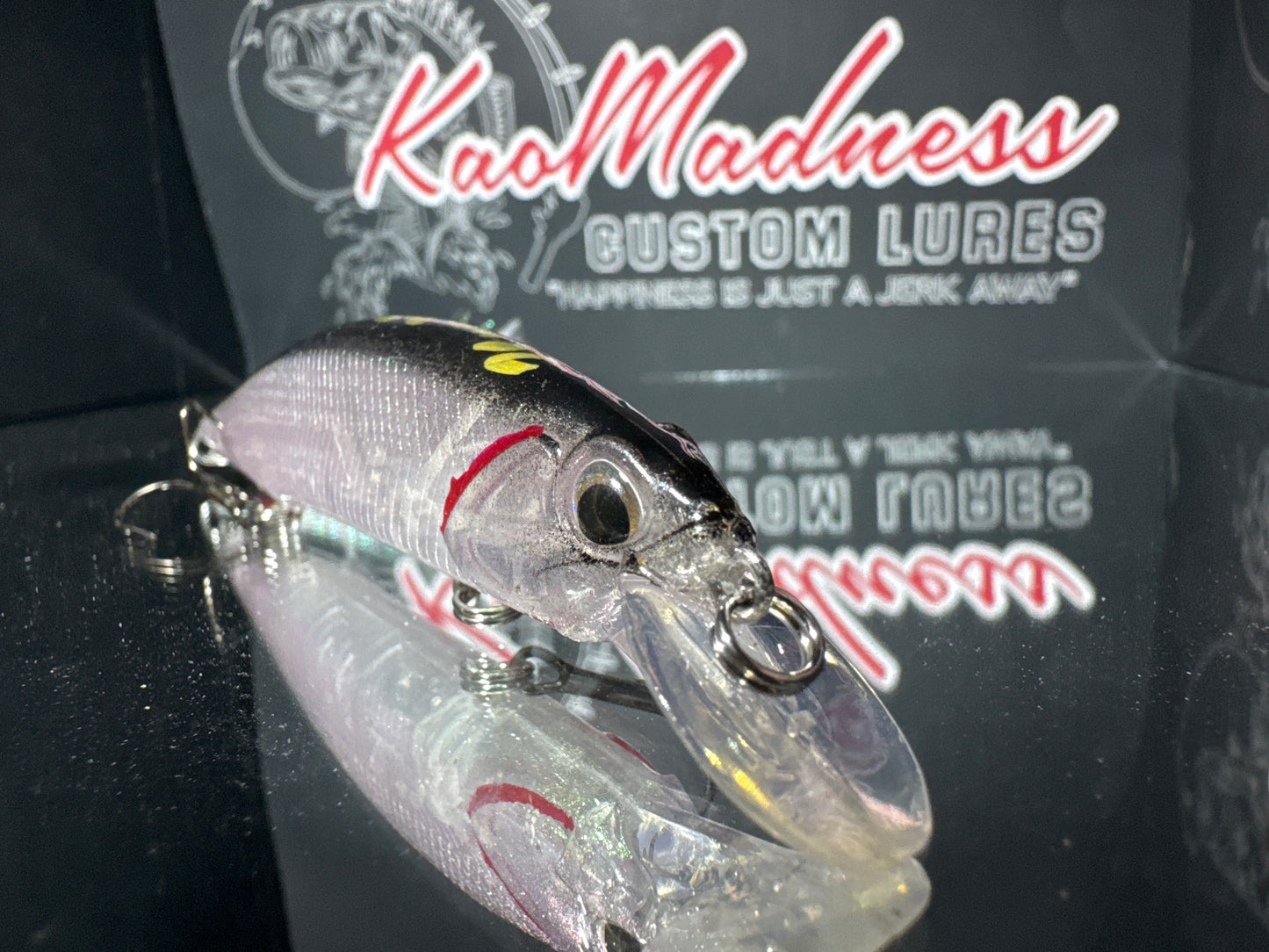 Anchovies Ghost 120