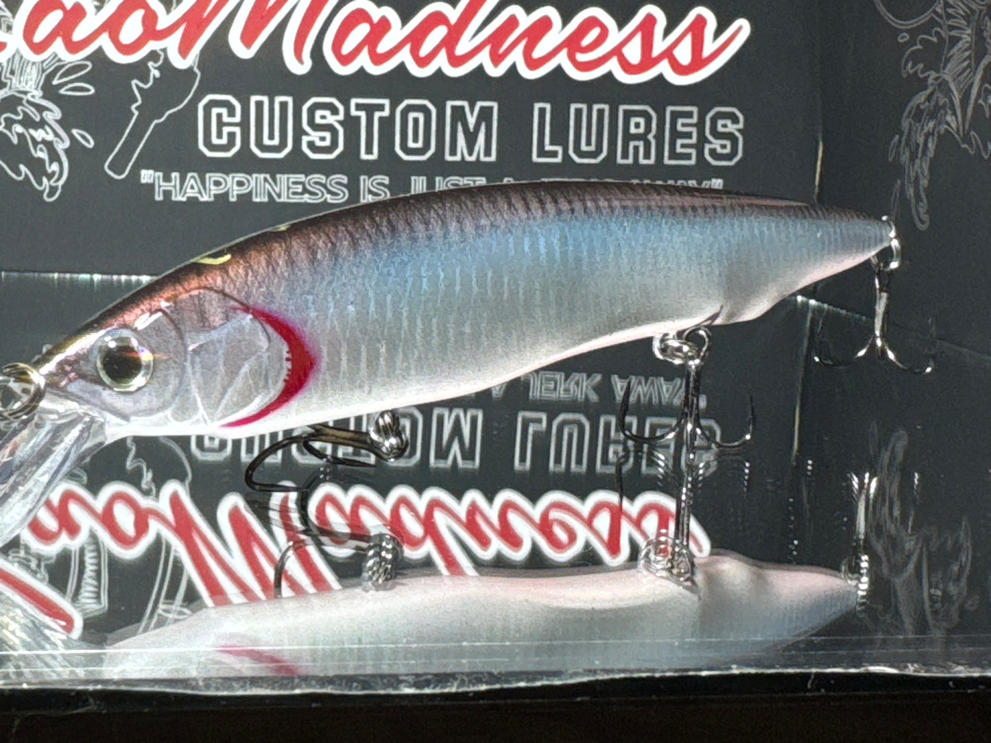Anchovies ver.1
