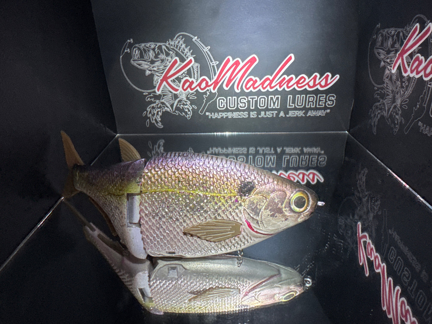 Golden King Shad