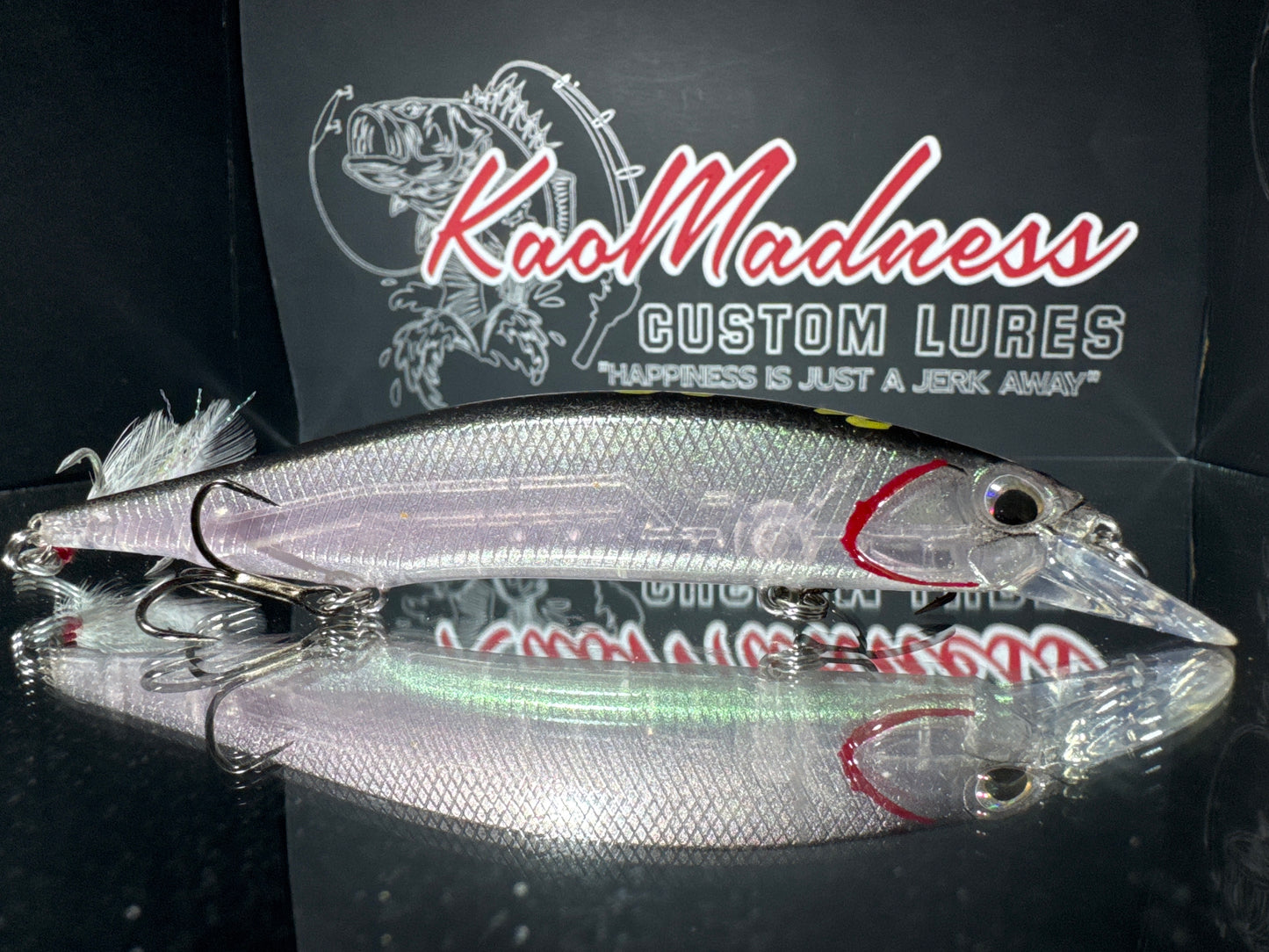 Anchovies Ghost 120