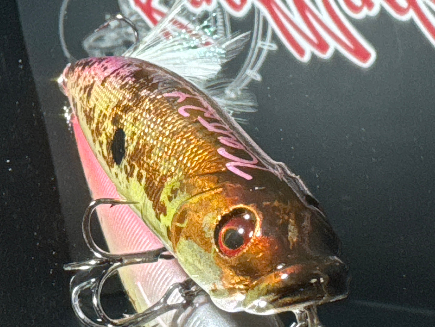 Copper Head Shad