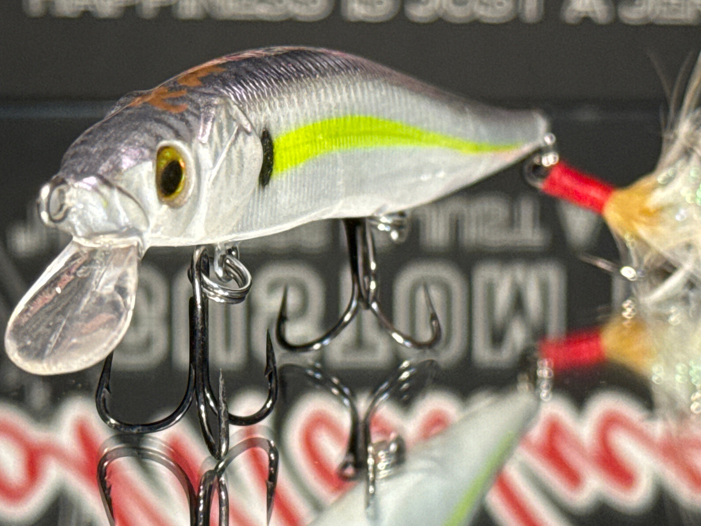 Dark Skyline Shad