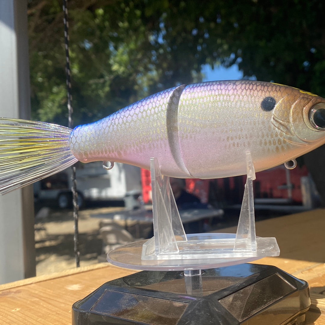 Bigeye Threadfin Shad