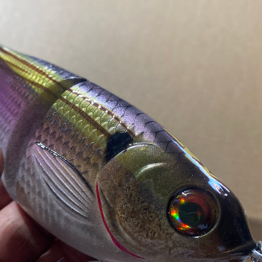 wicked wild shad ver. 2