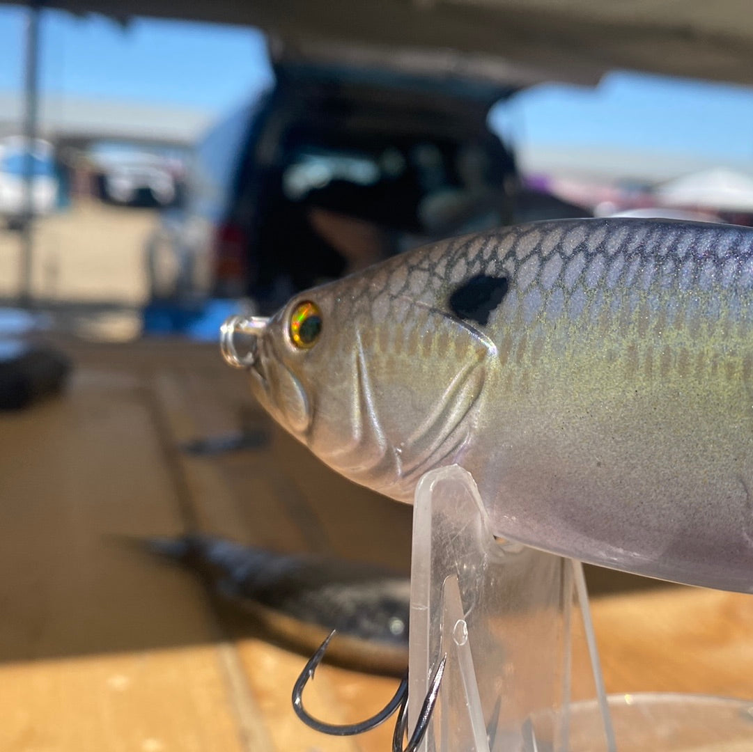 Threadfin Shad