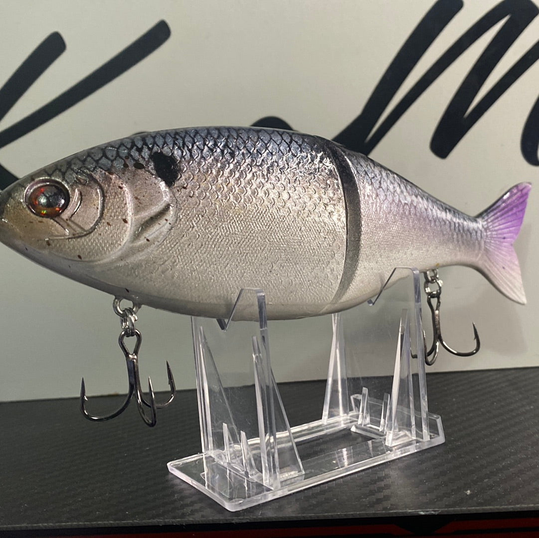 Silverback shad