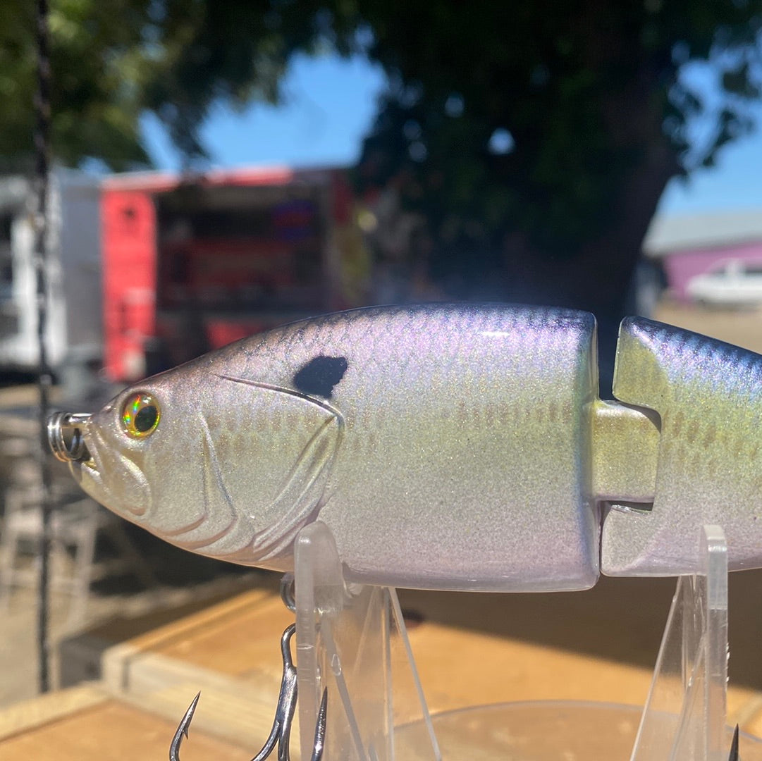 Threadfin Shad