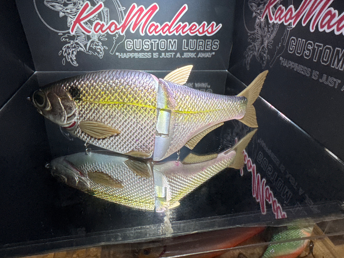 Golden King Shad