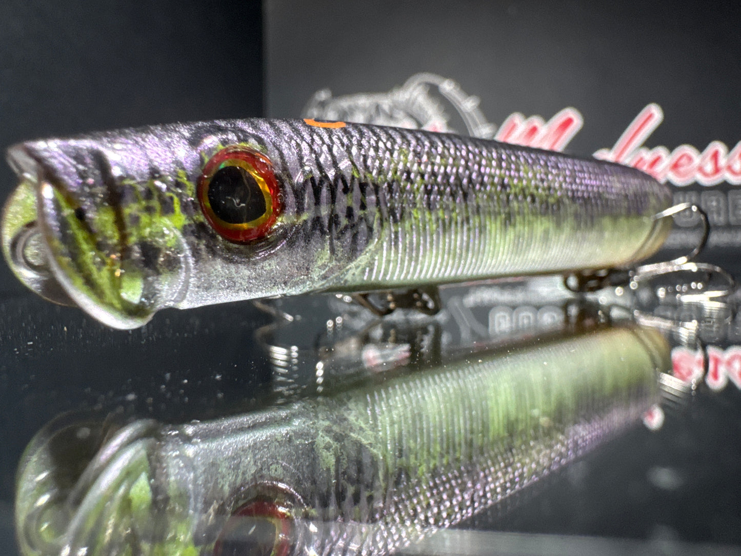 Spring Minnow