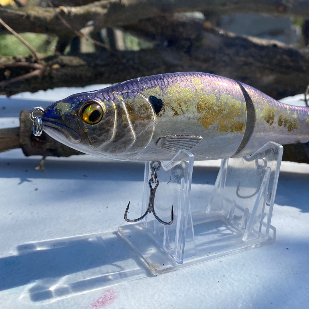 Golden I- Shad