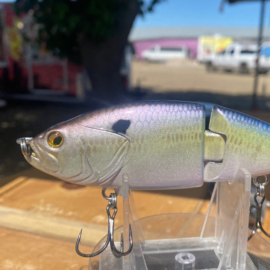 Threadfin Shad