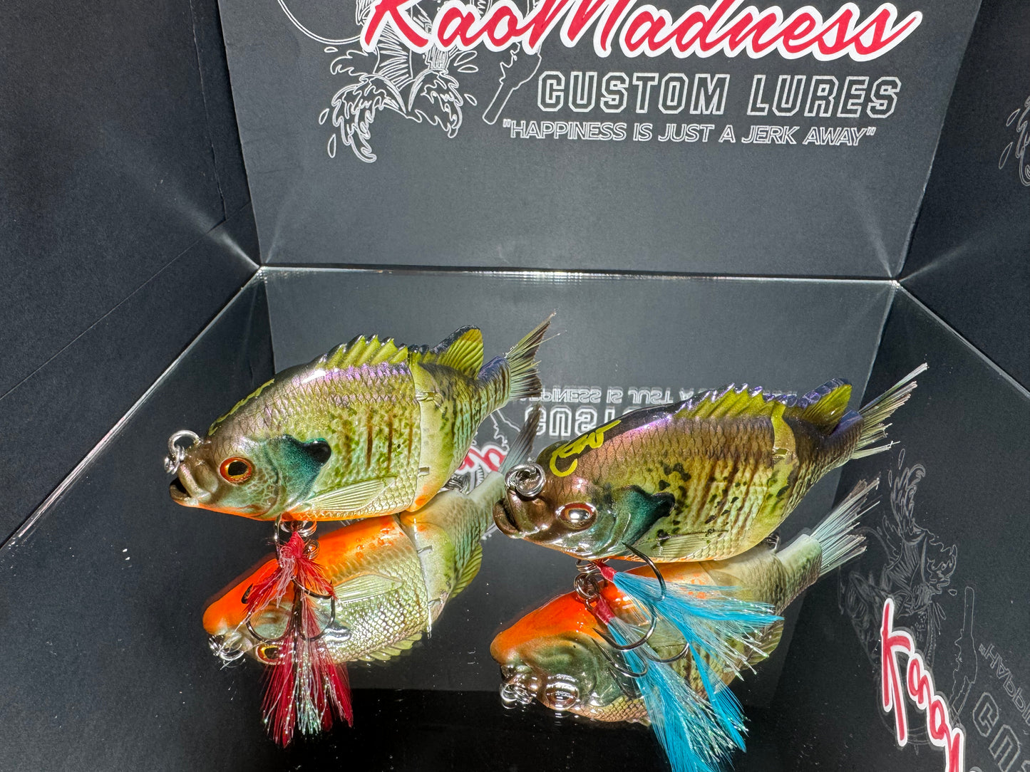 Tube Feather Gills- red hook