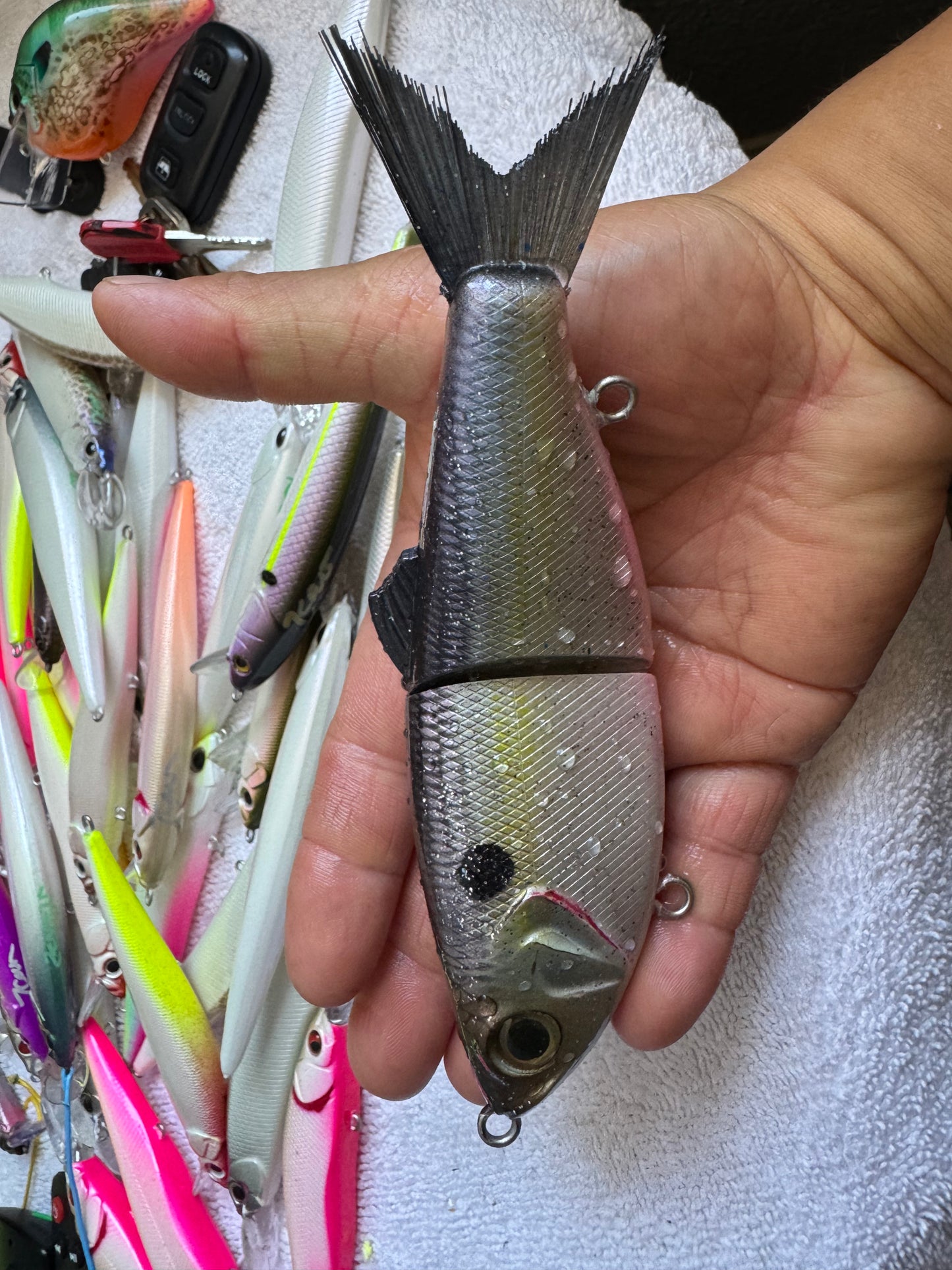 Shad Swim Bait