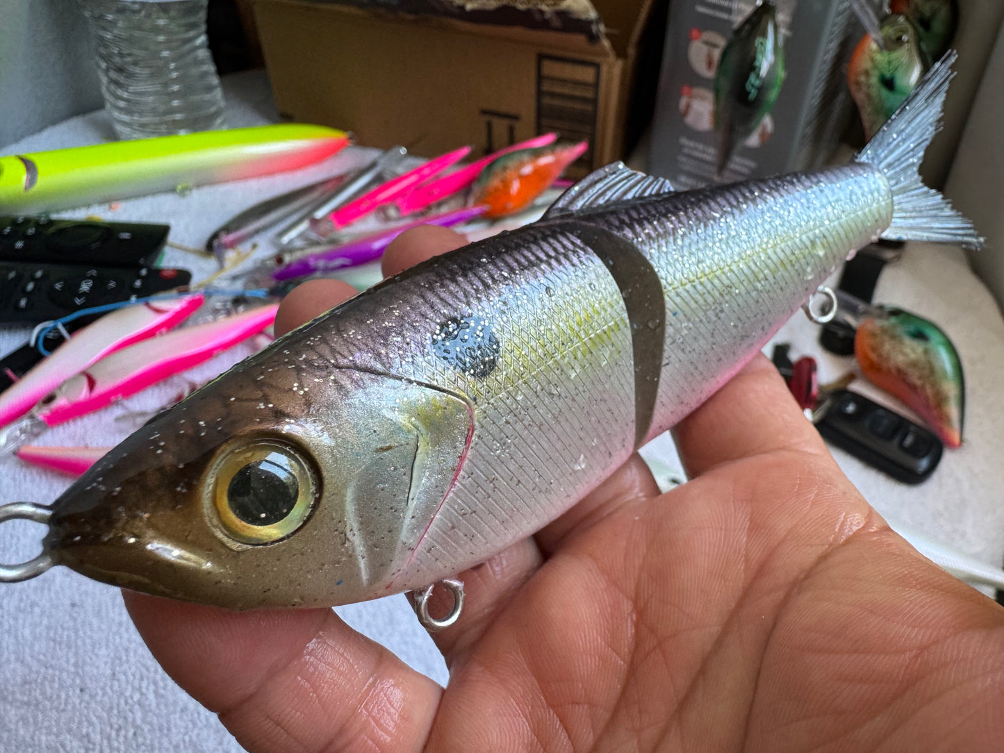 Shad Swim Bait