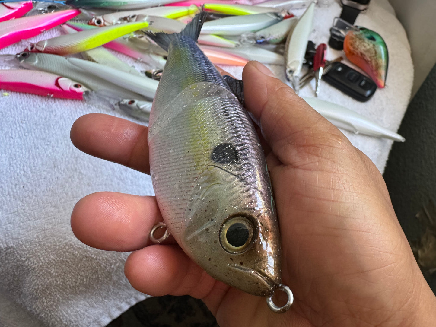 Shad Swim Bait