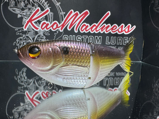 Fat Golden Shad