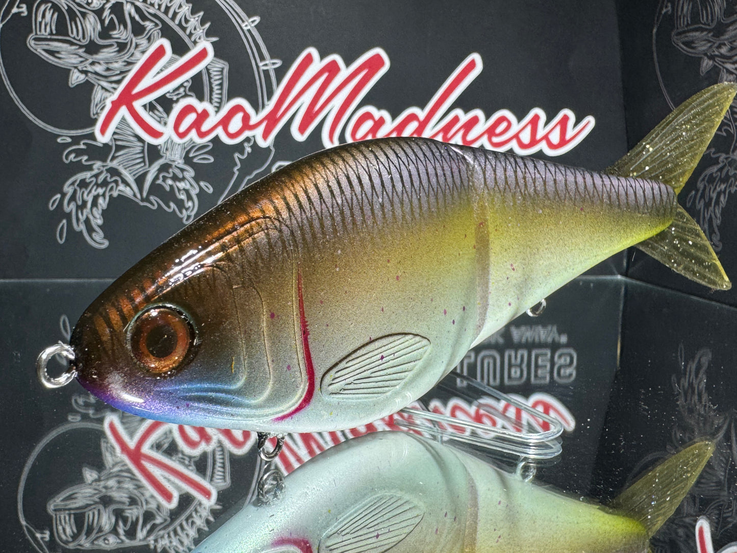 Golden Shiner