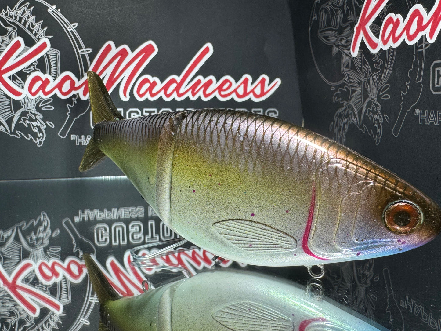Golden Shiner