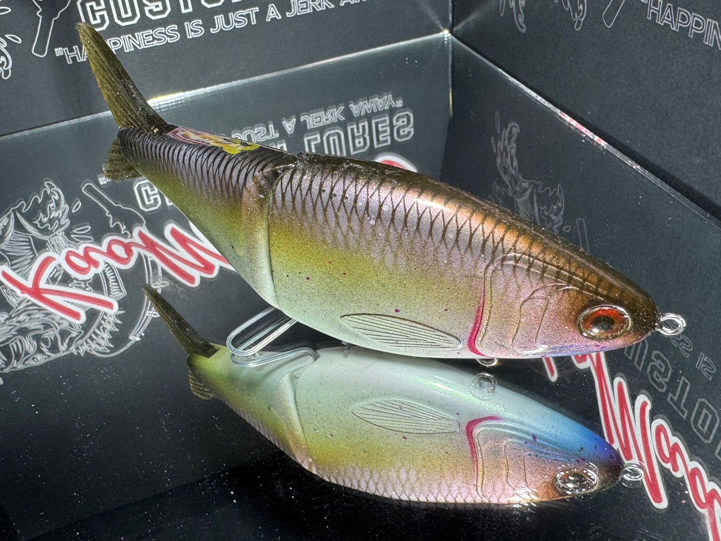 Golden Shiner