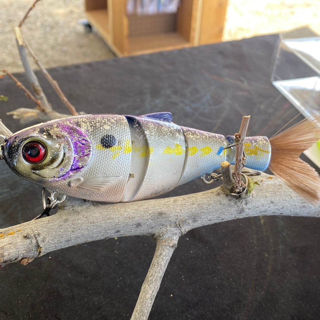 The Devil shad