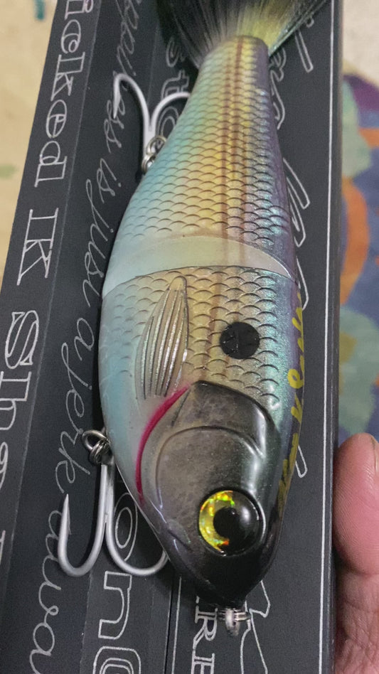 Wicked k shad 1