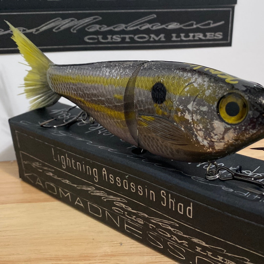 Lightning Assassin Shad