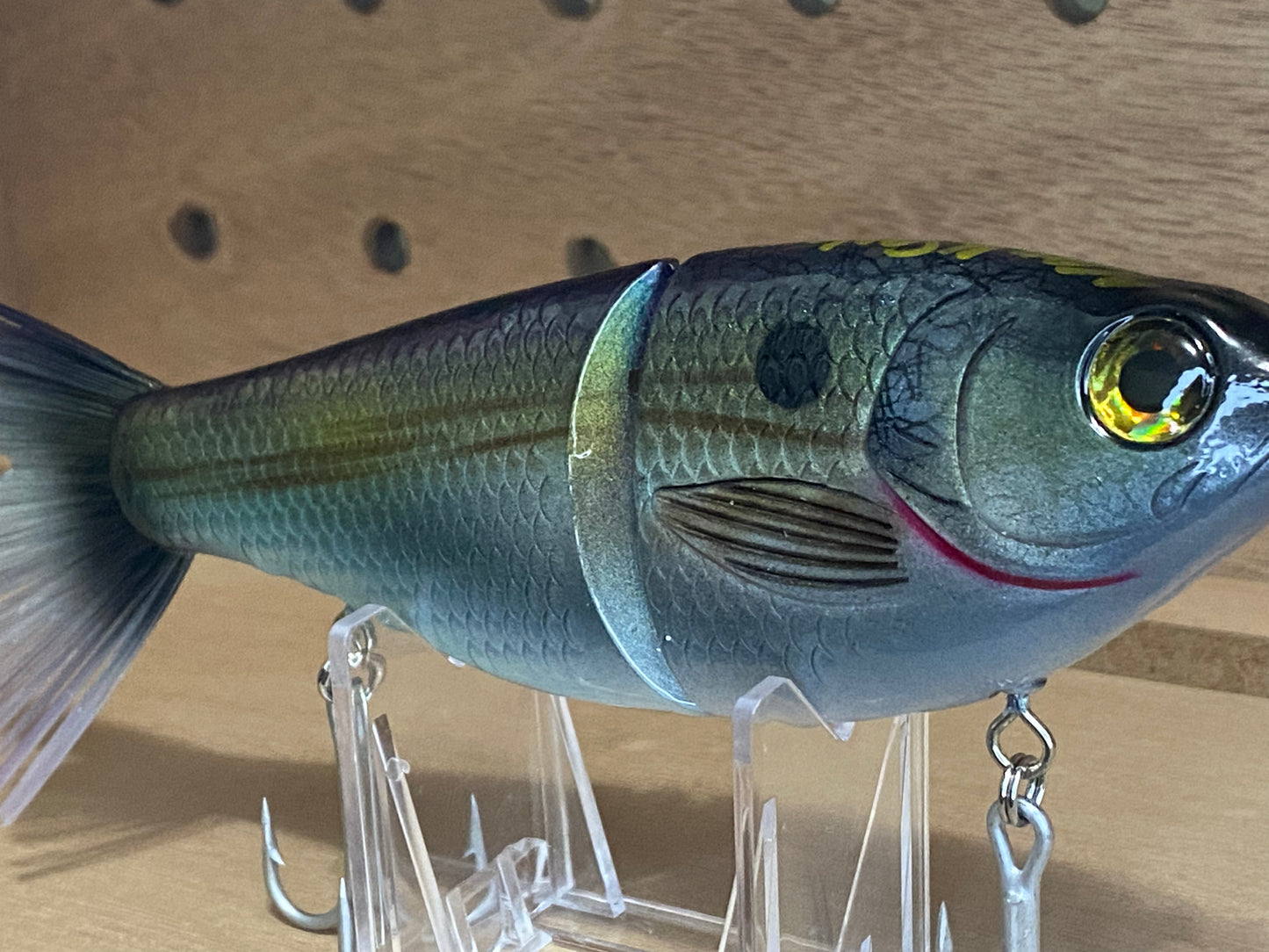 Wicked k shad 2