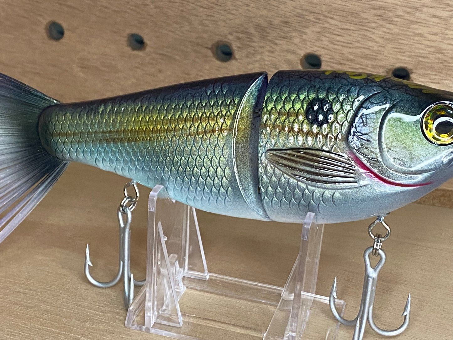 Wicked k shad 2